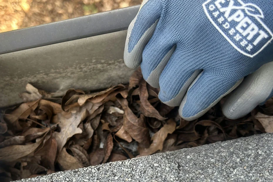 Gutter Cleaning Black Mountain