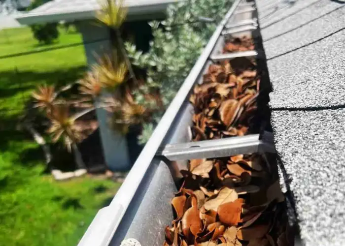 Gutter Cleaning Black Mountain home page